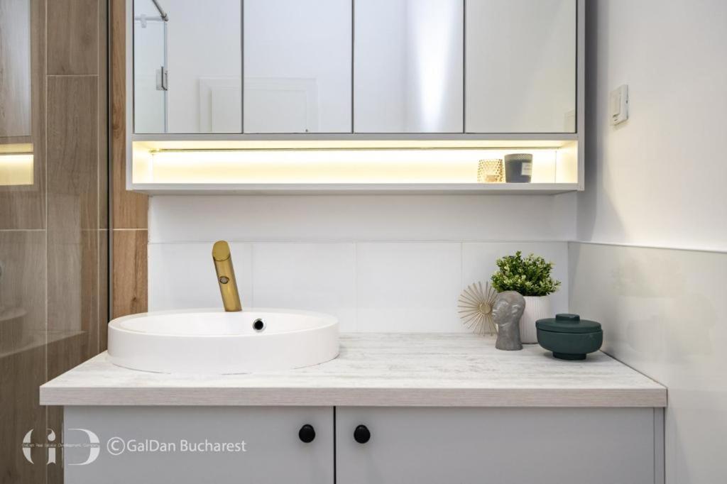 בוקרשט The Loft Luxury Apartments-Near The Park In The City Center מראה חיצוני תמונה